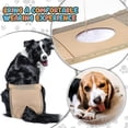 thumbnail image 5 of 3 Pack Dog Diapers Menstrual Panties Female Dog Pants Physiological Hygienic Adjustable Heat Washable with 9 Sanitary Pads (XL), 5 of 5