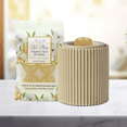 thumbnail image 5 of Belle Aroma® No-Mess Fragrance Tarts® - White Tea & Ginger, 6 count, 1 pack, 5 of 5
