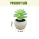 thumbnail image 2 of Planta de simulación suculenta en maceta, pequeños adornos creativos para interiores, plantas verdes artificiales, 2 uds., 2 of 5