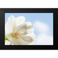 thumbnail image 2 of Mahan, Kathy 24x17 Black Modern Framed Museum Art Print Titled - Cherry Blossoms I, 2 of 5