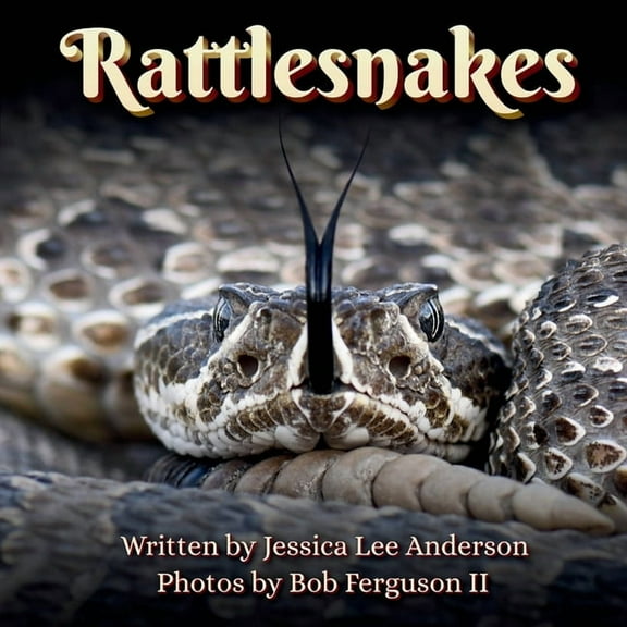 Fascinature Books for Young Readers Rattlesnakes, (Paperback)