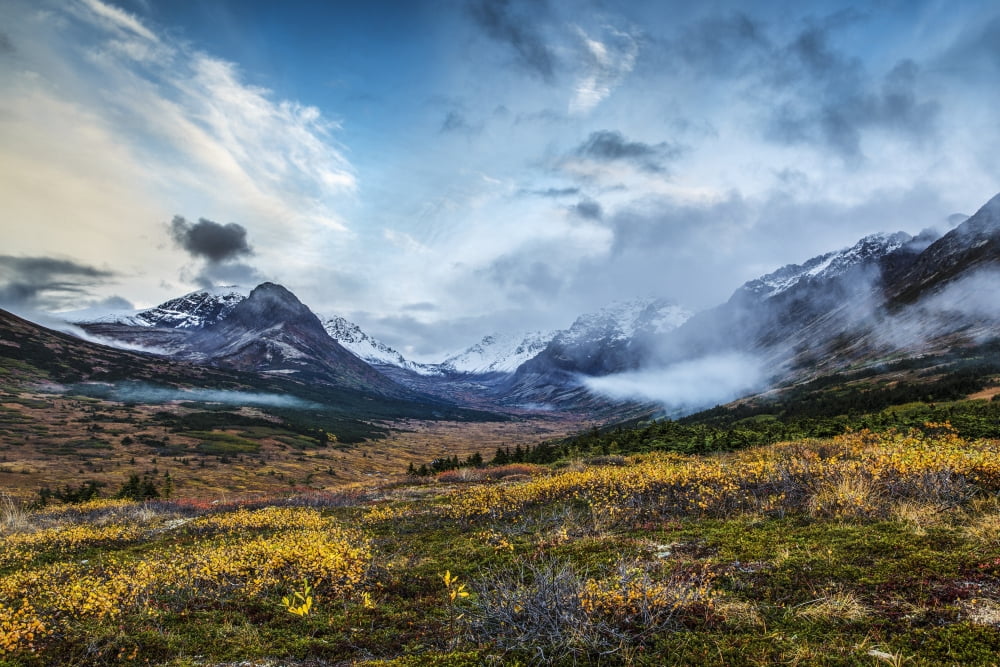 Fall landscape of tundra and willows with snow covered Chugach Mountains and Powerline Pass in Glen Alps area of Anchorage Chugach State Park Southcentral Alaska Canvas Art - Jeff Schultz Design Pics