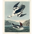 thumbnail image 2 of Audubon, John James 15x17 White Modern Wood Framed Museum Art Print Titled - Smew or White Nun, 2 of 4