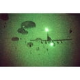 thumbnail image 2 of Night Vision Image Of Paratroopers Of The 82Nd Airborne Jumping From C-141 Starlifter Aircraft. Sept. 12 1989., 2 of 2
