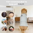 thumbnail image 4 of Amztom Dog Anxiety Vest, Skin-Friendly Thunder Jacket for Dog Anxiety Relief, Comfort Calming Shirt for Fireworks, Vet Visits & Separation, Gray, XS, 4 of 9