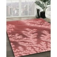 thumbnail image 3 of Ahgly Company Tapis Rectangulaire Lavable en Machine Intérieur Transitionnel Corail Clair Rose, 5 Pieds x 8 Pieds, 3 of 7