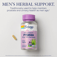 thumbnail image 3 of Solaray Pygeum Bark Extract 50mg | Healthy Prostate Support | Guaranteed to Contain 6.5mg Total Plant Sterols | Non-GMO | 60 VegCaps, 3 of 6