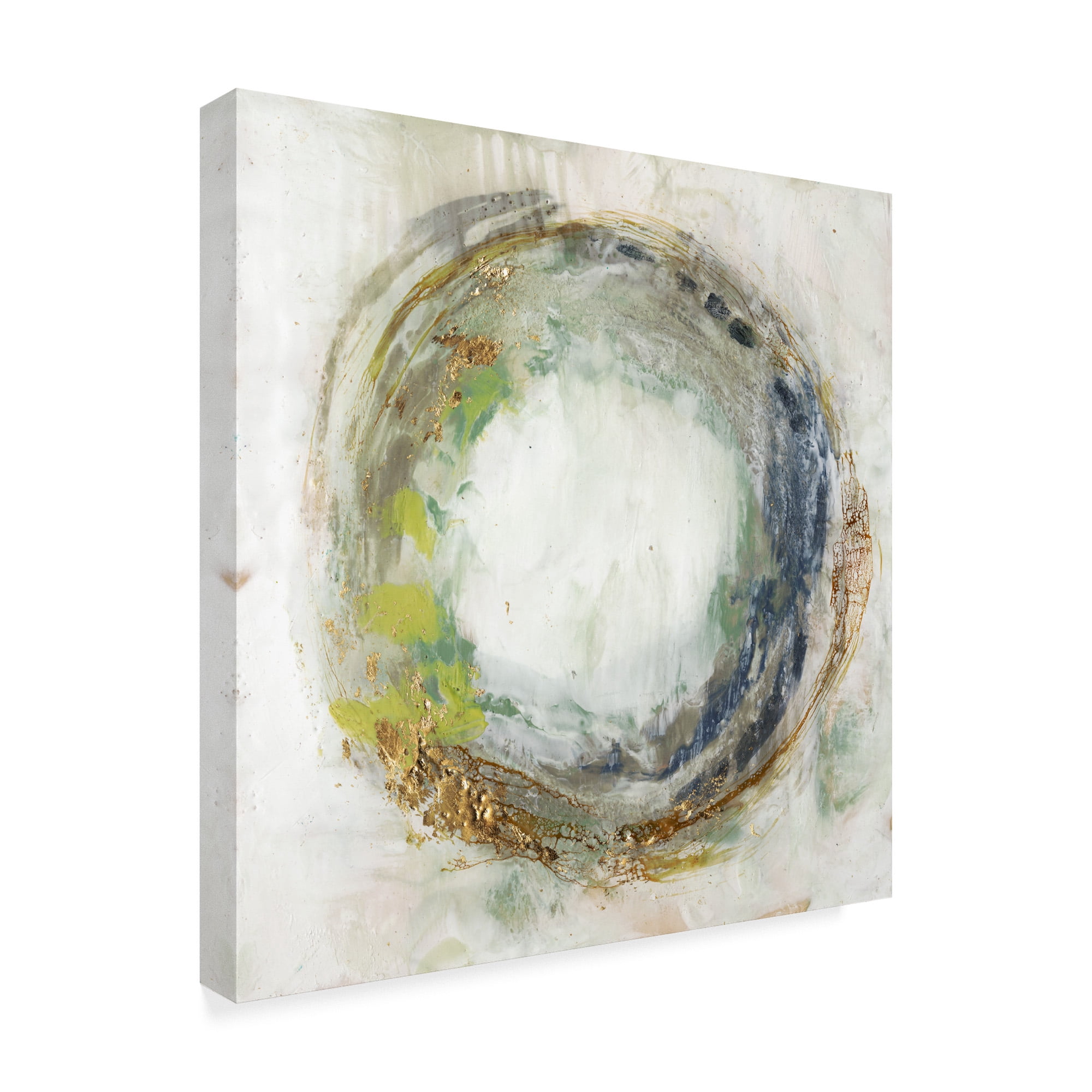 Trademark Fine Art 'Fluid Orbit I' Canvas Art by Jennifer Goldberger