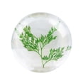 thumbnail image 2 of Fiudx Jabón Natural, Limpiador Artesanal de Helecho Orgánico, Hidratante Suave y Aminoácidos, Ideal para Baño Facial y Corporal, Apto para Adultos y Niños, 80 G, Tamaño de Viaje, 2 of 7