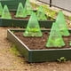 thumbnail image 2 of Inteprter 10 Uds ABS protección eficaz de las plantas con campanas de jardín adecuadas para todo tipo de plantas que ayudan al crecimiento Jardín y Patio, 2 of 6