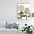 thumbnail image 3 of Trademark Fine Art 'Early Spring Chrysanthemums III' Canvas Art by Naomi McCavitt, 3 of 4