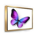 thumbnail image 3 of Designart 'Blue and Violet Butterfly' Modern Framed Canvas Wall Art Print, 3 of 5
