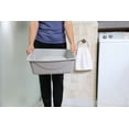 thumbnail image 3 of Petmate Durable Open Top Entry Easy to Clean Cat Litter Pan Plastic Cat Litter Box, Medium, Gray, 3 of 12