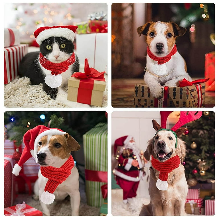 Christmas scarves for dogs online