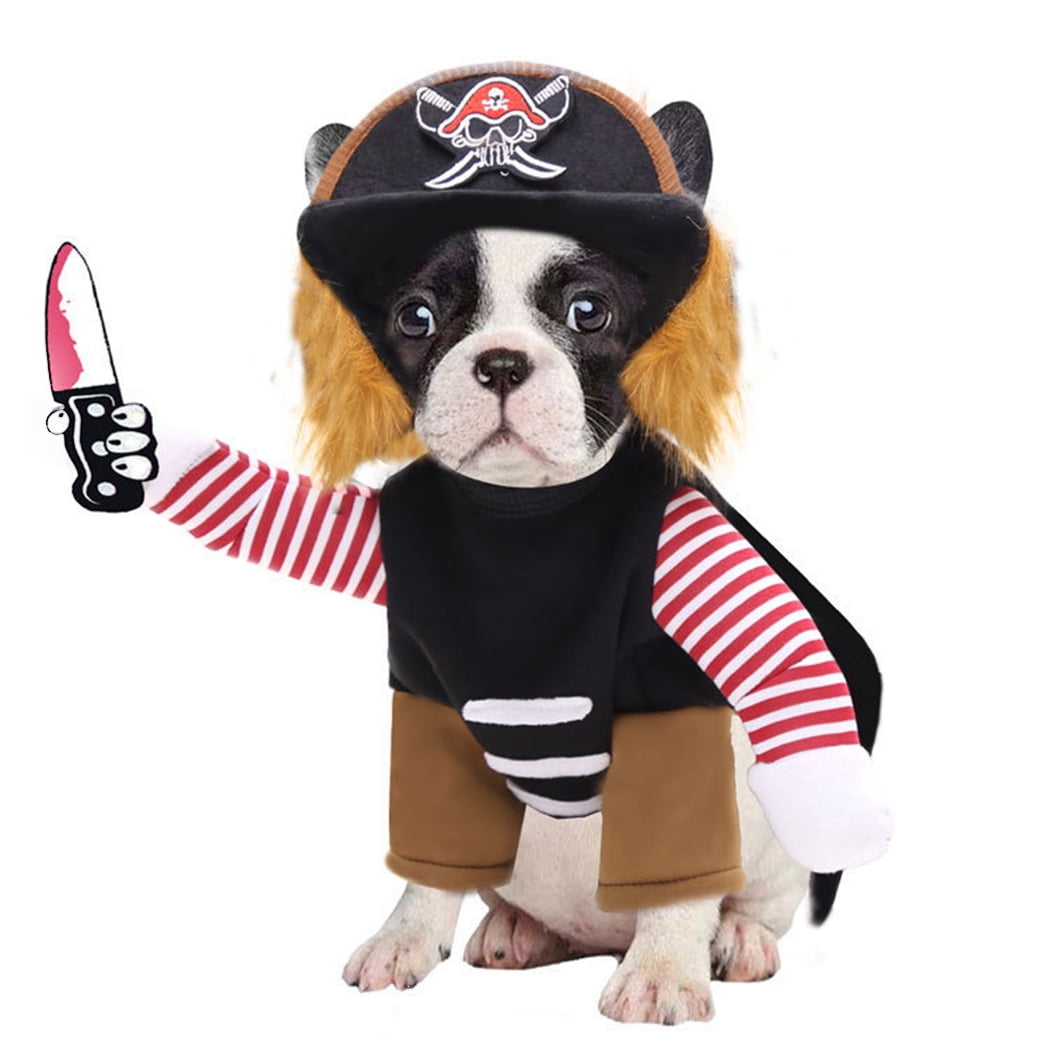 dog baseball costume