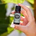 thumbnail image 2 of Edens Garden Hair Love Essential Oil Blend- 100% Pure Premium Grade, Undiluted, Natural, Therapeutic, Aromatherapy, The Best for Skin, Hair, Face 30 ml (1 fl oz), 2 of 9