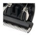 thumbnail image 5 of 2pcs Cutting Replacement Blades Adult Hair Clipper Hair Clipper Black Ceramic Head Clipper, 5 of 5