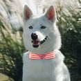 thumbnail image 4 of Adjustable Pearl Pet Collar Chain for Dogs and Cats Comfortable Secure Leash Accessory, 4 of 7
