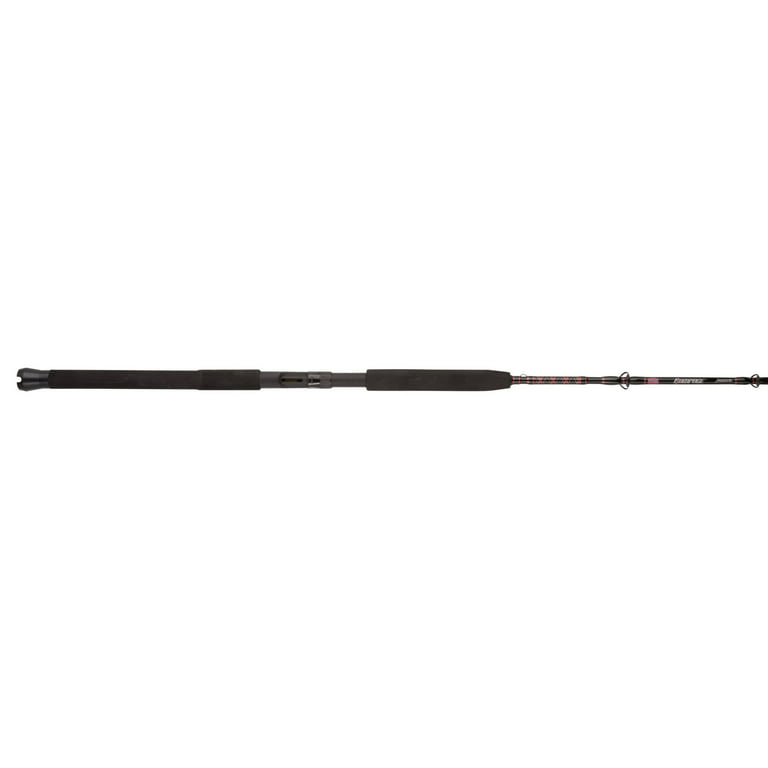 PENN Rampage Jig 5'8”. Nearshore/Offshore Conventional Rod; 1 Piece Fishing  Rod 