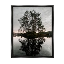 Stupell Industries Tree on Lake Landscape Nature Photography Black Floater Framed Art Print Wall Art, 25 x 31