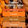 thumbnail image 3 of Glade Air Freshener Spray, Golden Pumpkin & Spice, Fragrance Fall Scent- 4 Pack, 3 of 6