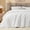 Bright White, variant on Fleece Queen Comforter Set -Super Soft & Warm Fluffy Cream White Bedding, Luxury Fuzzy Heavy Bed Set for Winter with 2 Pillow Cases