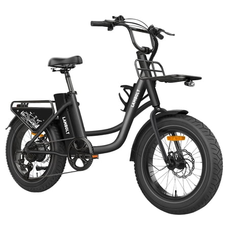 Electric Bike for Adults - 1000W Peak Motor Ebike with 48V 15Ah Removable Battery, 20" Fat Tire Electric Bicycle | 7-Speed | Step-Thru Commuter Electric Bike, 24 MPH Max Speed | 70 Miles Range