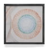 MoDRN Naturals Shell 22x22 Black Frame