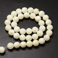thumbnail image 2 of Natural Sea Shell Beads Strands Round Creamy White 10mm Hole: 1mm about 40pcs/strand 15.75 inch, 2 of 3