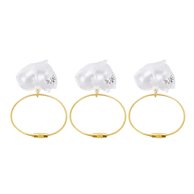 3 Llaveros De Pelo De Gato, Botella Transparente Con Tapa Segura Para Recuerdo Conmemorativo Del Pelo De Mascotas, Cápsula Portátil De Almacenamiento De Pelo Para Amantes De