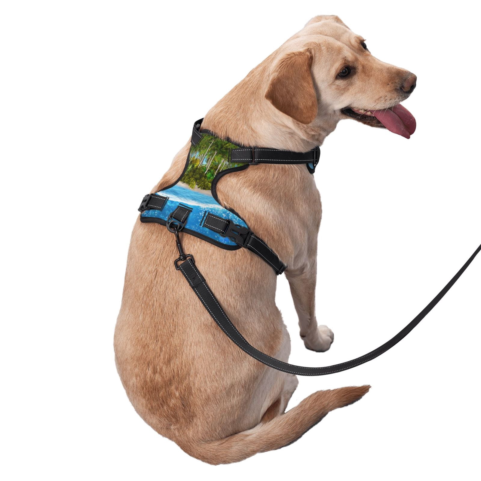 Fuzoiu Island And Coral Reef Print Reflective Dog Harness,Adjustable, Breathable Pet Vest,Dog Harness No Pull,No Choke Pet Vest for Small, Medium, and Large Dogs-Medium