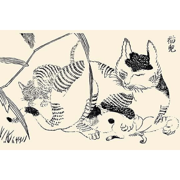 Domestic cat nursing kittens-Fine Art Canvas Print (20" x 30")