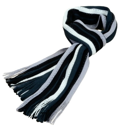 Mens Winter and Fall Cashmere Feel Blue Scarf