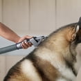 thumbnail image 2 of Aspiradoras verticales Dyson Groom Tool, 2 of 4