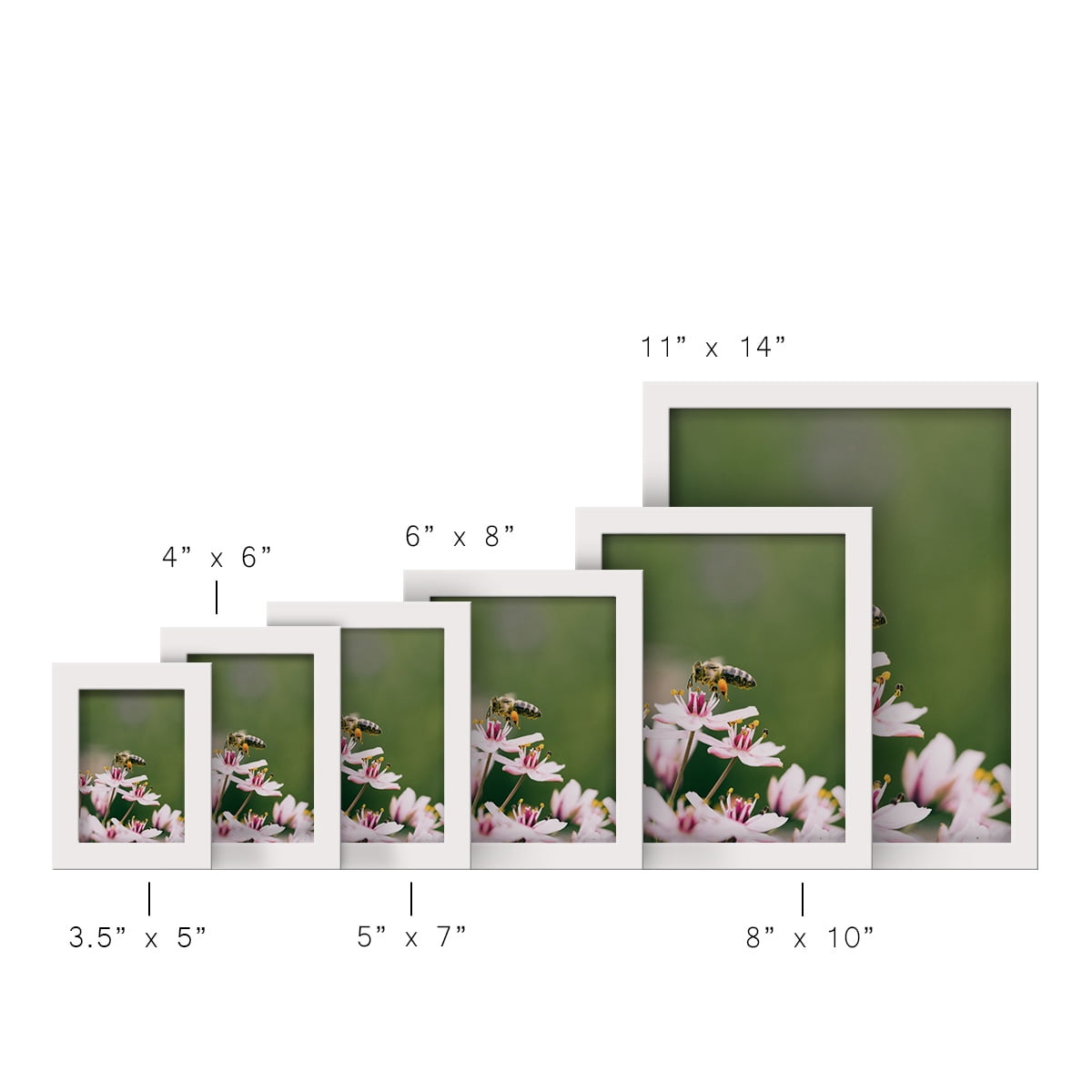 Modern 4 in. x 6 in. White Picture Frame (Set of 4)