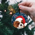 thumbnail image 5 of WIRESTER Large 3 inch Acrylic Ready to Hang Ornament, Hanging Ornaments for Christmas Tree Holidays Party Home Office Xmas Tree Decoration Gift - Cavalier King Charles Spaniels Dog Sad, 5 of 7