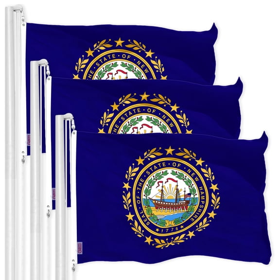 G128 3 Pack: New Hampshire NH State Flag | 3x5 Ft | LiteWeave Pro Series Printed 150D Polyester | Indoor/Outdoor, Vibrant Colors, Brass Grommets, Thicker and More Durable Than 100D 75D Polyester