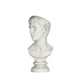 thumbnail image 3 of Design Toscano Bust Planter of Antiquity Statue: Emperor Caligula, 3 of 9