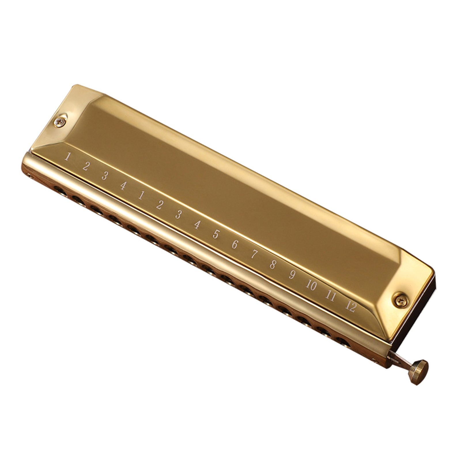 Blues Harmonica in C, 16 Holes Blues Harp Diatonic Harmonica C, Mouth Organ harmonica in C For Adults, Beginners