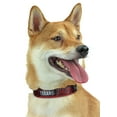 thumbnail image 1 of Zubaz Collier Ajustable pour Animaux de Compagnie, Houston Texans, Petit, 1 of 3