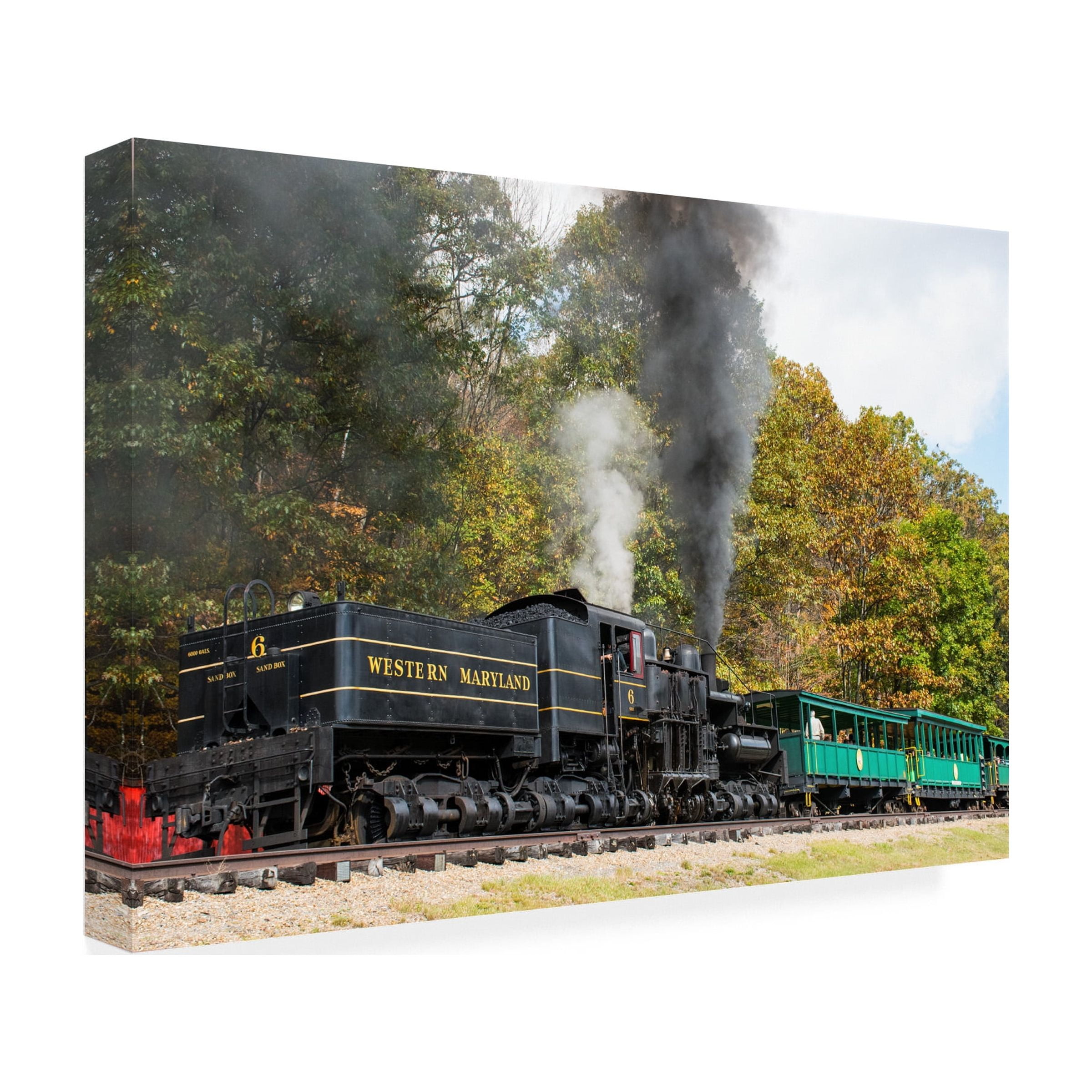 Robert Michaud 'Cass Scenic Railroad 5' Canvas Art