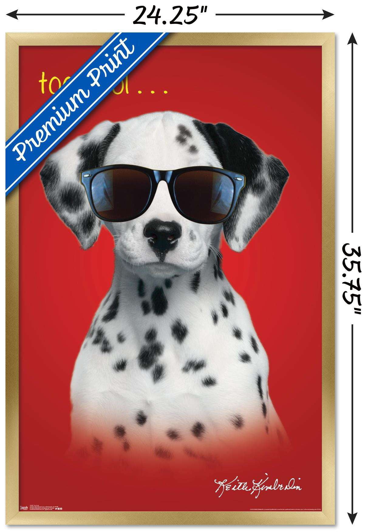 Keith Kimberlin - Dalmatian Puppy - Too Cool Wall Poster, 22.375" x 34", Framed