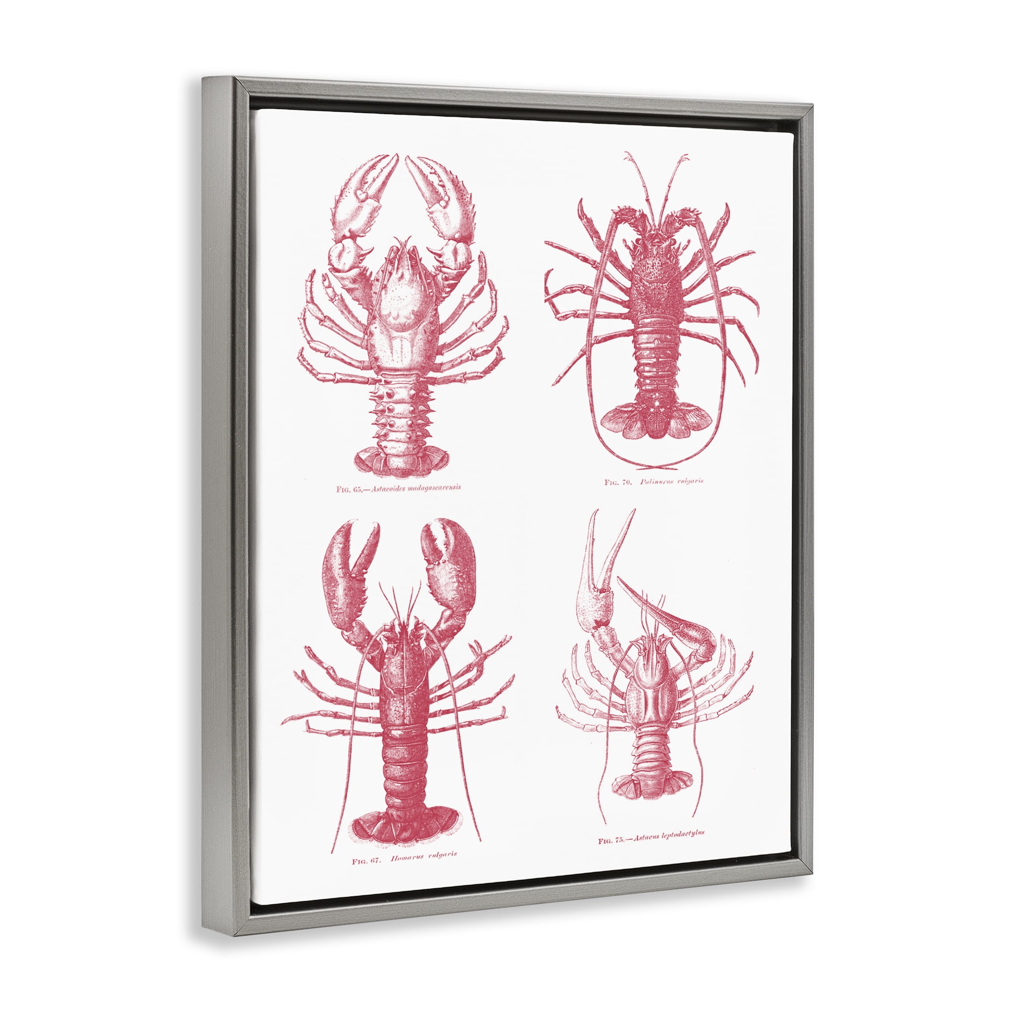 Timeless Lobsters Species Gray Framed Floater Canvas Wall Art, design by Lettered and Lined