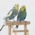 thumbnail image 3 of Wweixi Parrot Perches Stand With Swing Climbing Ladder Safe And Durable And Dyed swing 1Set, 3 of 6