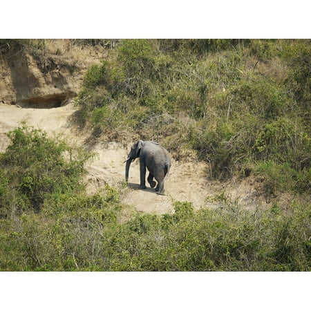 Canvas Print Uganda Way Back Rise Steep Afternoon Elephant Stretched Canvas 10 x (Best Way To Ship To Uganda)