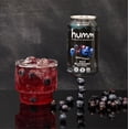 thumbnail image 2 of Humm Kombucha, Zero Sugar Drink, Keto, Variety 16 Pack, 12 oz Cans, 2 of 6