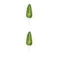 thumbnail image 1 of Yuarrent 20 bolsas de hermosos arreglos florales verdes con hojas de sandía simuladas, oreja de elefante grande de hierro fácil, conveniente y Oreja de elefante grande 2Conjunto, 1 of 6
