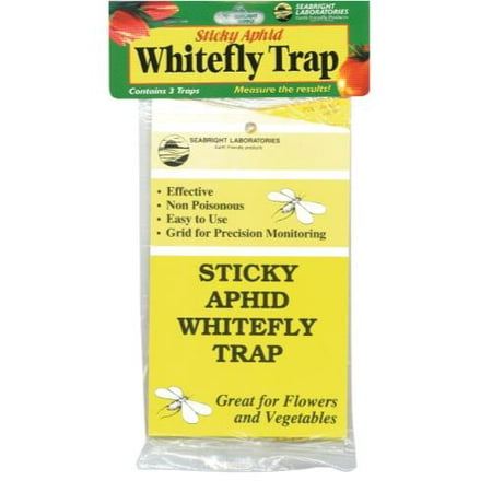 Sticky Aphid Whitefly Trap 3/Pack (1 = 24/Cs) (Best Spray For Whitefly)