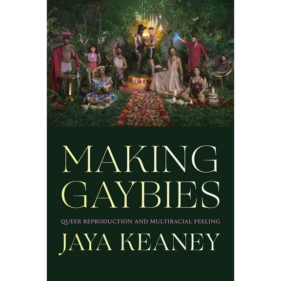 Making Gaybies: Queer Reproduction and Multiracial Feeling, (Hardcover)