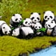 thumbnail image 4 of Bewildely decorativa de Panda de 4 Uds., adornos lindos, accesorio de Animal, miniaturas de simulación de paisaje, regalo de Micro Decoración del hogar Pequeño, 4 of 6